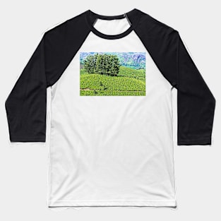 Munnar Tea Plantation. Baseball T-Shirt